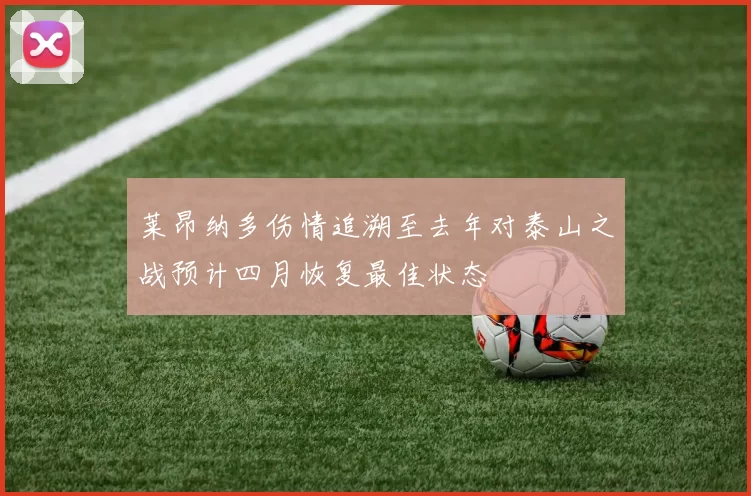 莱昂纳多伤情追溯至去年对泰山之战预计四月恢复最佳状态